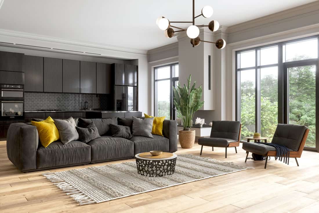 living room with black accents