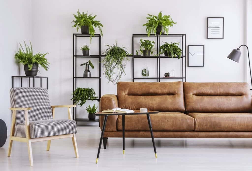 Rustic brown leather sofa with accent chair, house plants and coffee table in a modern living room