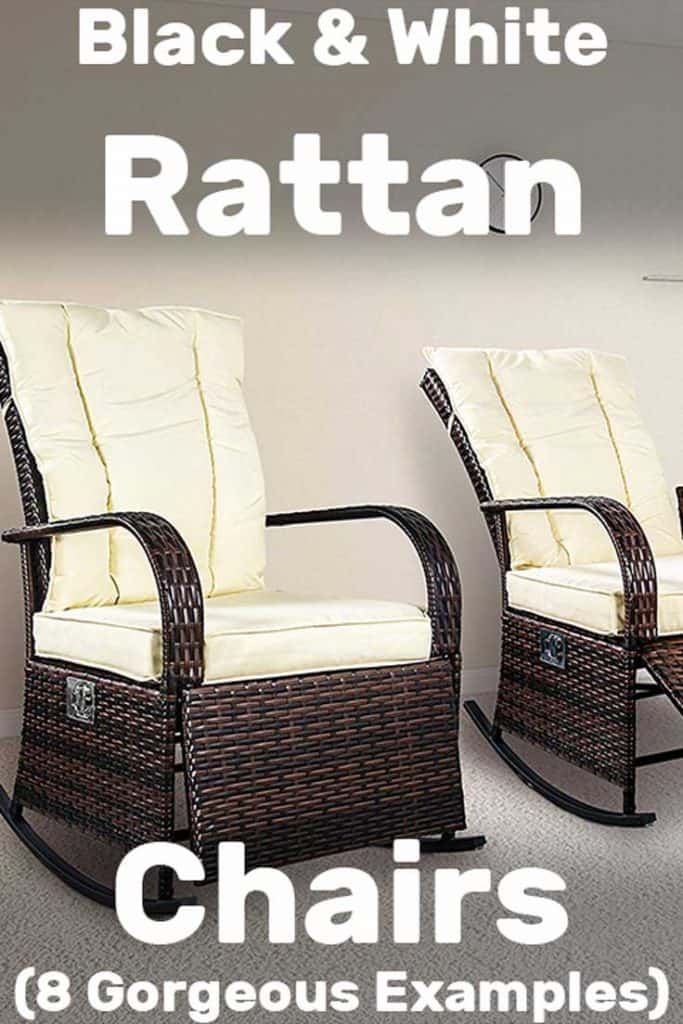 Black and White Rattan Chairs (8 Gorgeous Examples)
