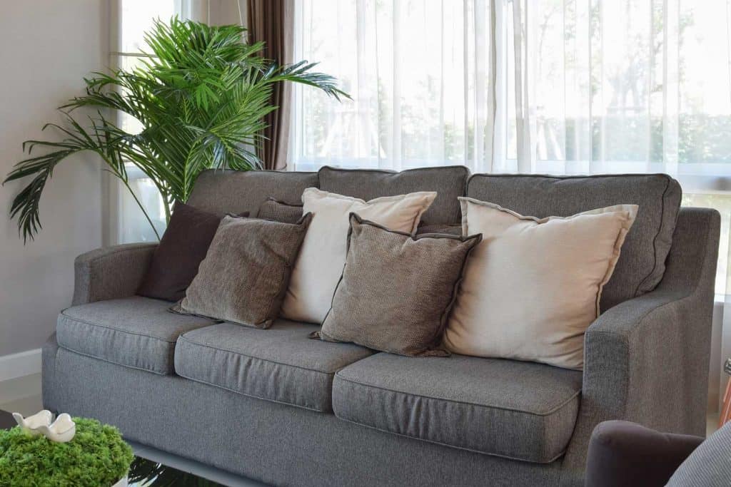 Stay Plain and Let the Indoor Plant Do the Green | Article by HomeDecorBliss.com