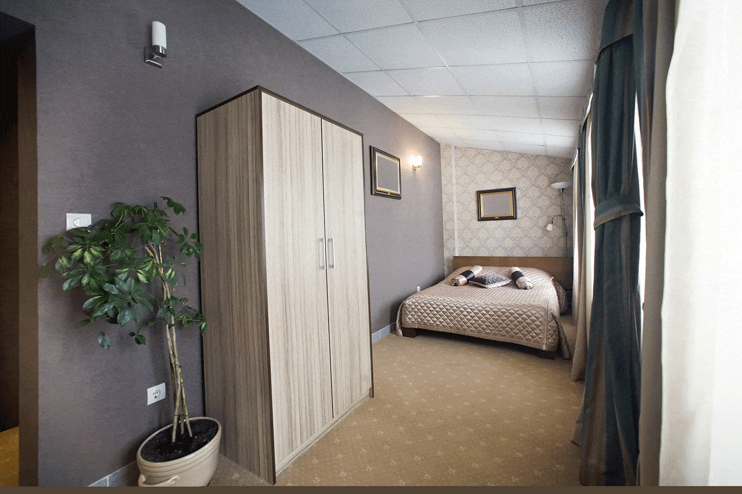 Classy bedroom with plant interior