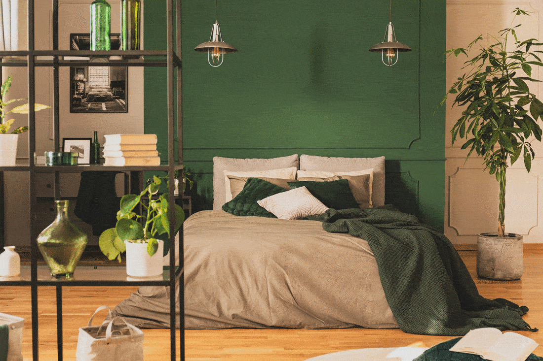 Dark green wall bedroom with house plant interior