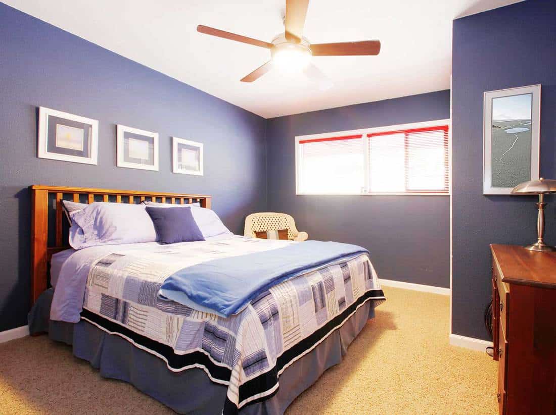 Elegant blue bedroom with yellow carpet