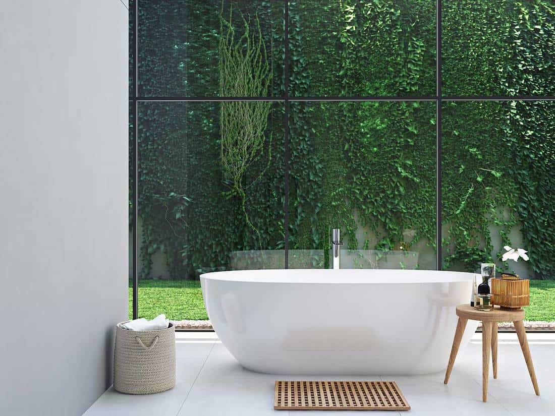 Bathroom with garden wall view