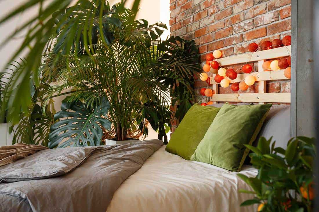 Bedroom with house plants and brick wall