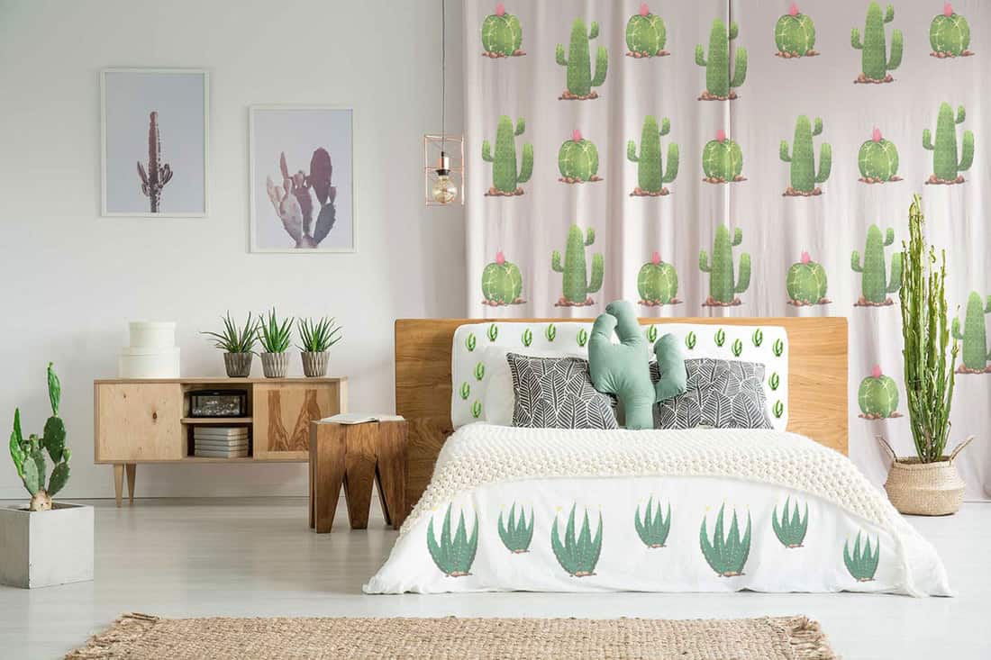 10 Gorgeous Cactus-Themed Bedrooms [and How to Achieve the Same Look]