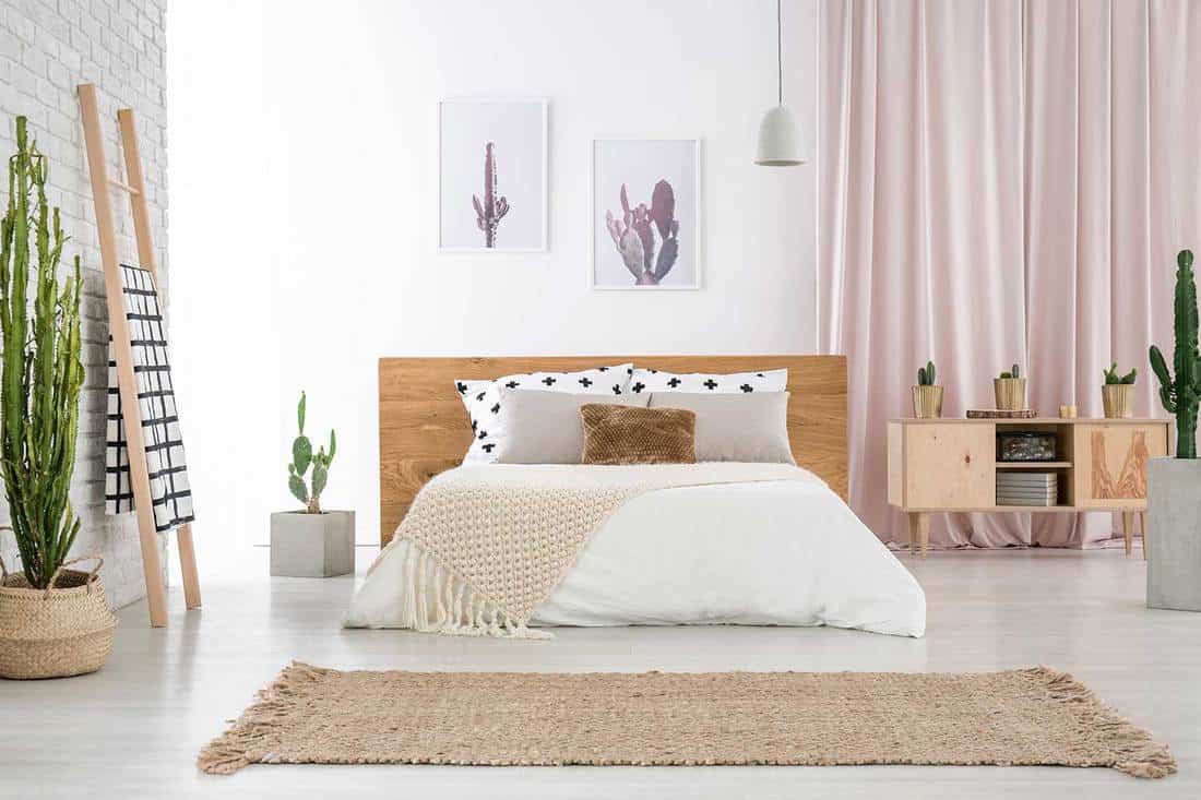 Cozy cactus-themed bedroom