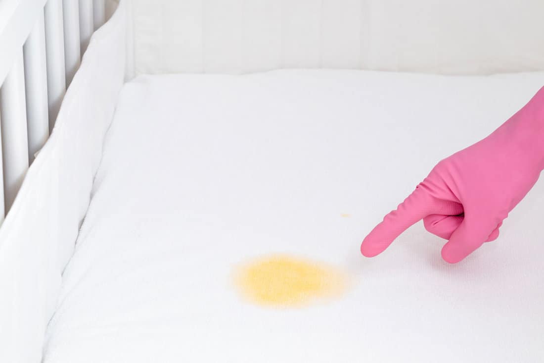 Hand rubber protective glove pointing to yellow fresh urine stain on white mattress