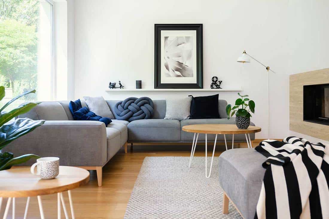 Cozy modern living room interior