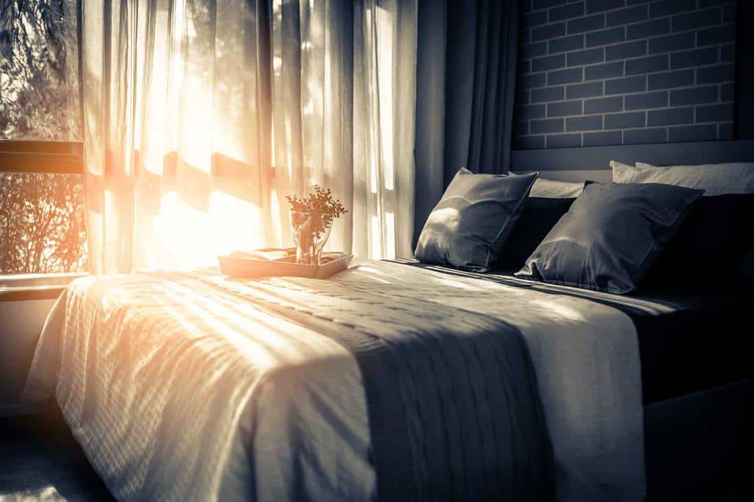 Modern bedroom with sunlight on the window