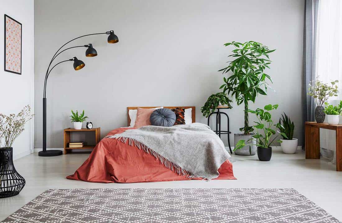 Modern minimalist bedroom with house plants