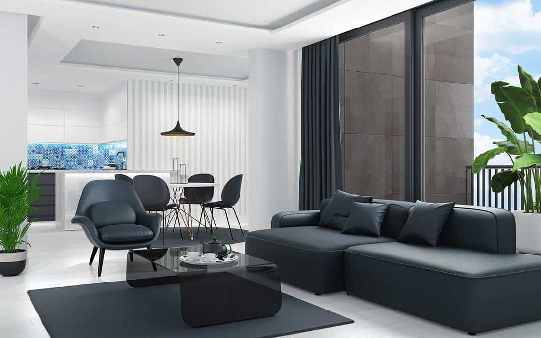 Scandinavian style modern living room