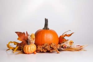 Read more about the article When to Decorate for Fall? [Inc. Autumn Home Decor Tips]