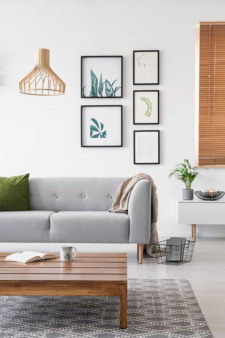 Posters on a wall in a living room interior with gray sofa and low coffee table