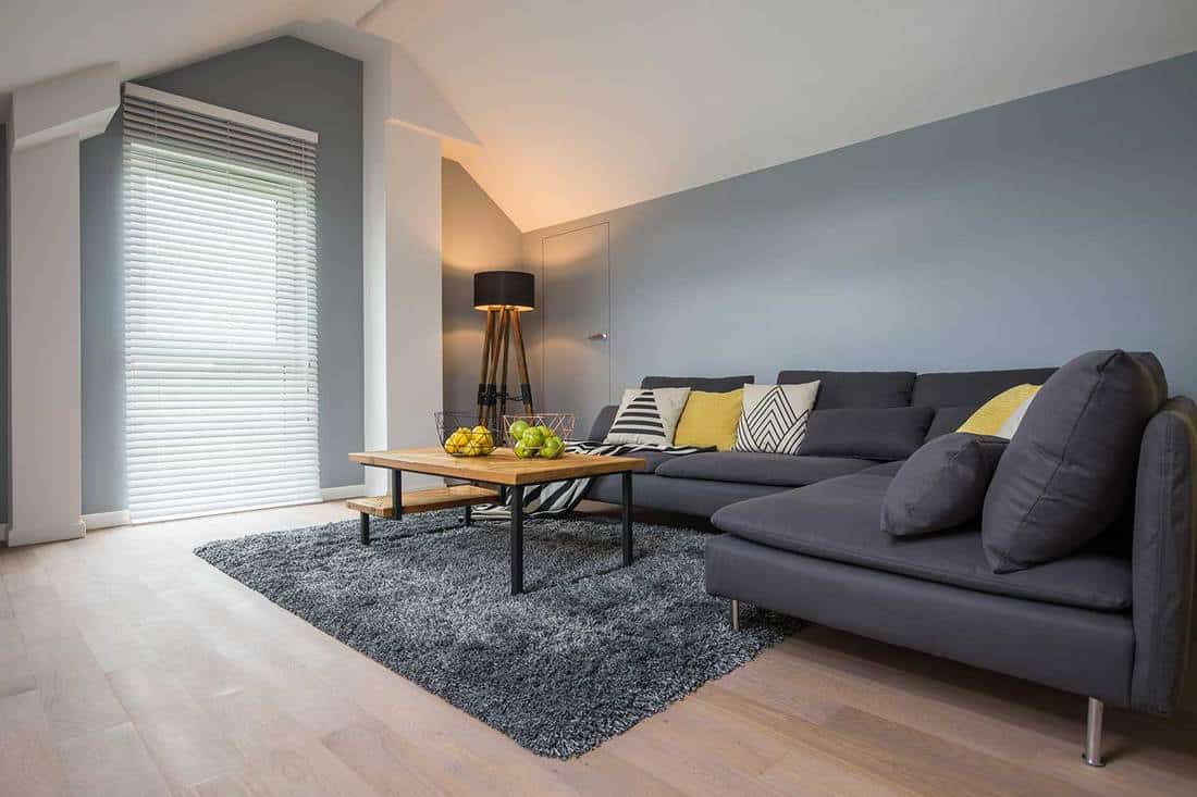 Intérieur spacieux et moderne du salon lumineux avec des oreillers sur un canapé d'angle gris foncé, des tapis et une table basse