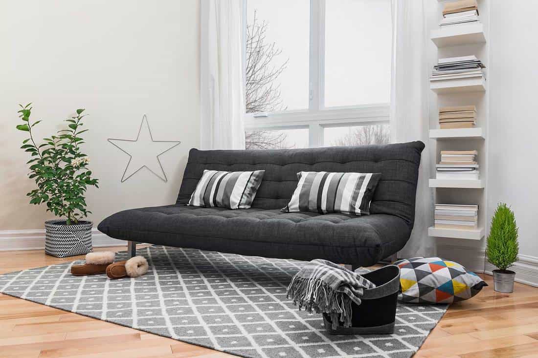 Spacious modern living room with dark gray sofa, bookshelf and house plants