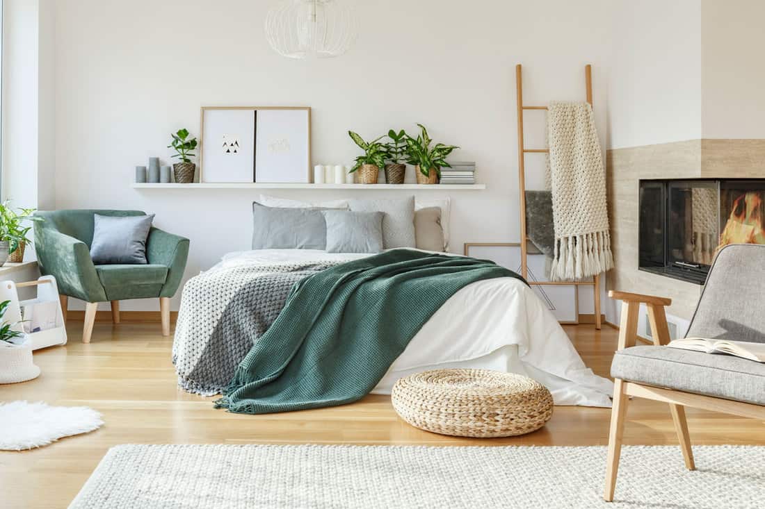 Modern Cozy bedroom with a tropical touch, What Should You Have in Your Bedroom? [11 Must-Have Items]