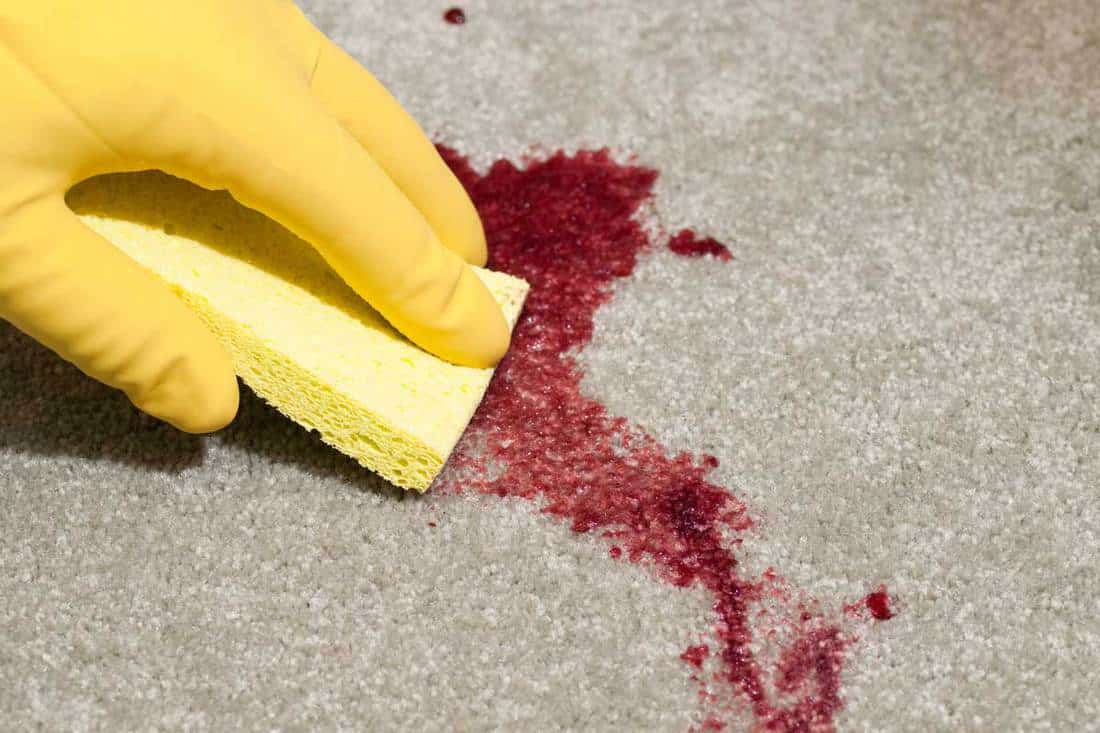 Cleaning grape juice stain on carpet