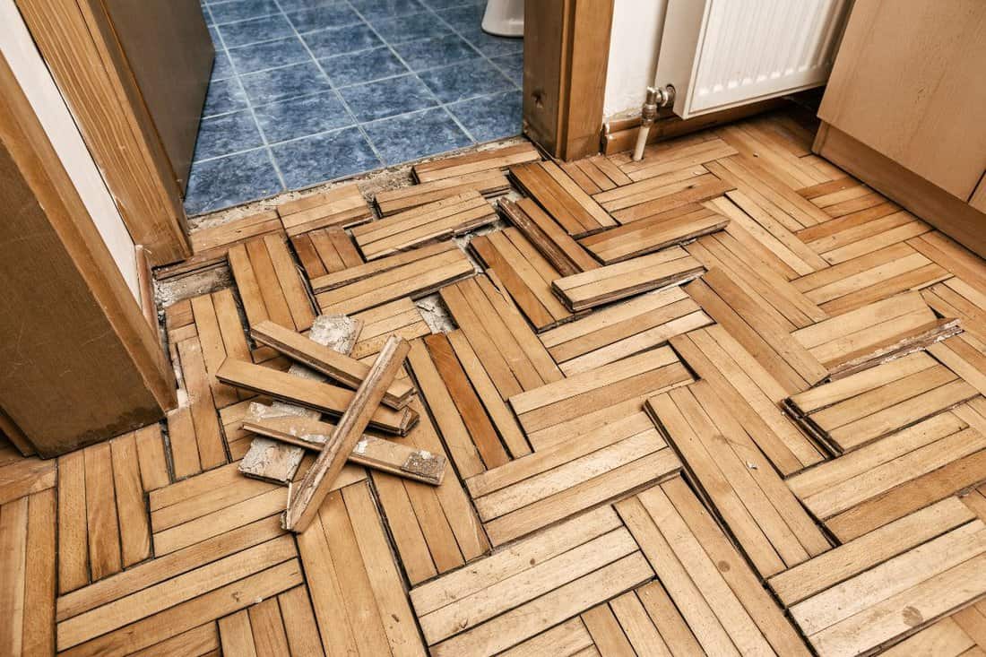 Damaged wooden floor 
