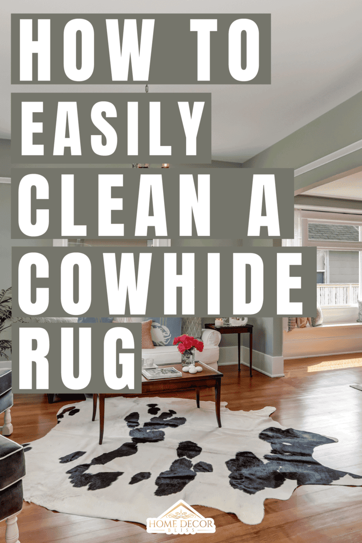How-to-Easily-Clean-a-Cowhide-Rug5