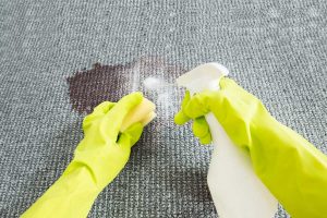 Read more about the article How to Get Slime Out of Carpet