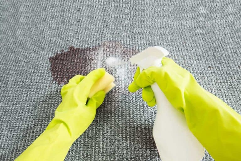 Hands cleaning a carpet with slime or stain, How to Get Slime Out of Carpet