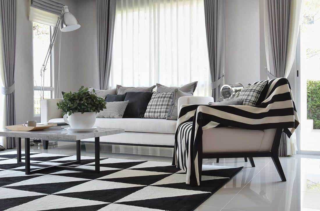 Modern living room interior with black and white checked pattern pillows and carpet