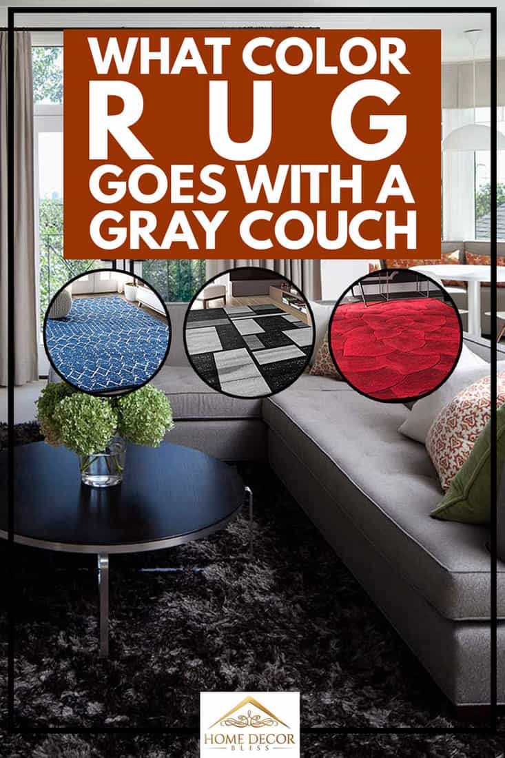 Gray couch with coffee table on dark color rug in modern living room interior, What Color Rug Goes With a Gray Couch