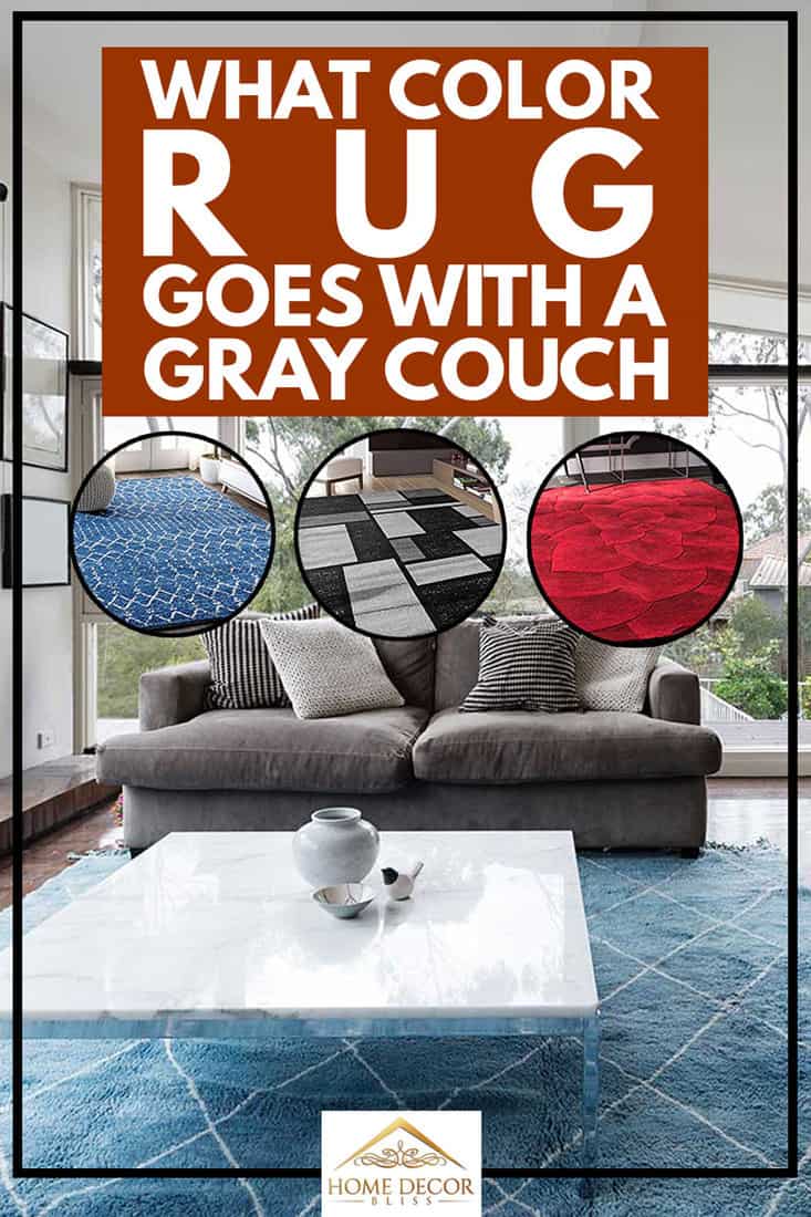 Gray cozy sofa and blue carpet rug in modern living room interior, What Color Rug Goes With a Gray Couch