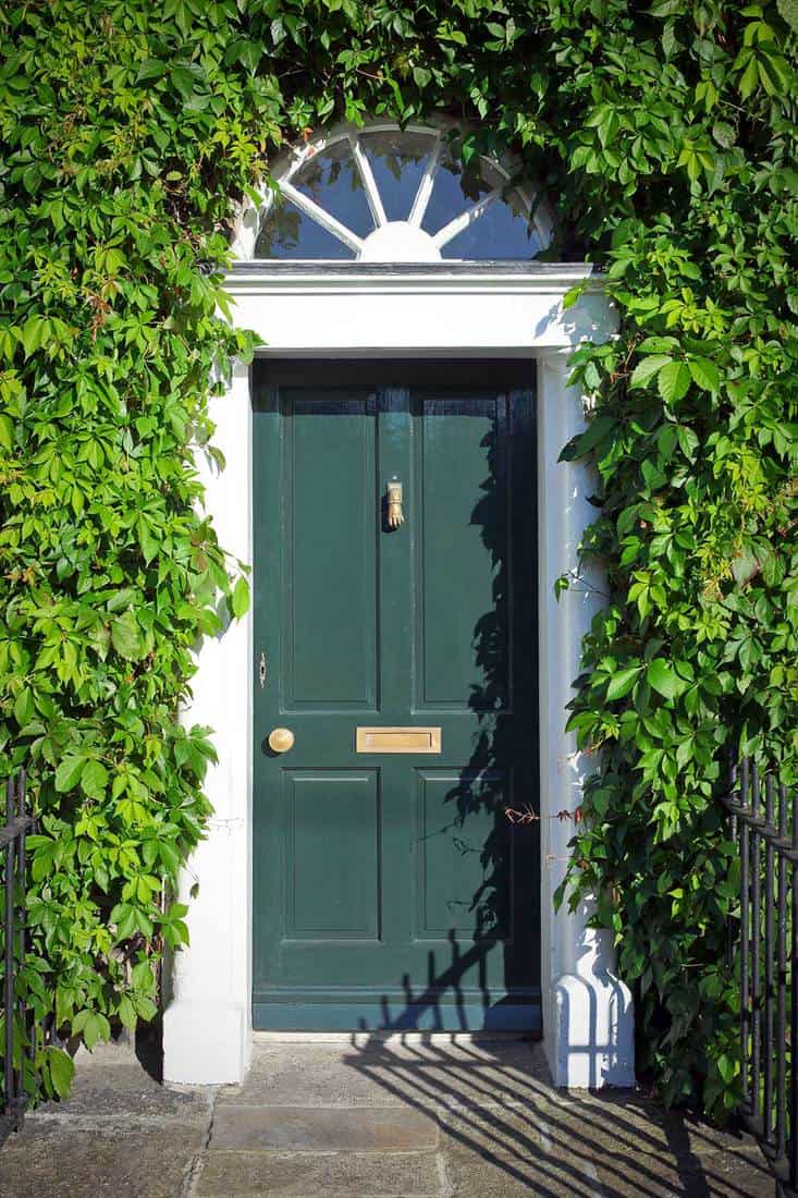 Georgian style green wooden door