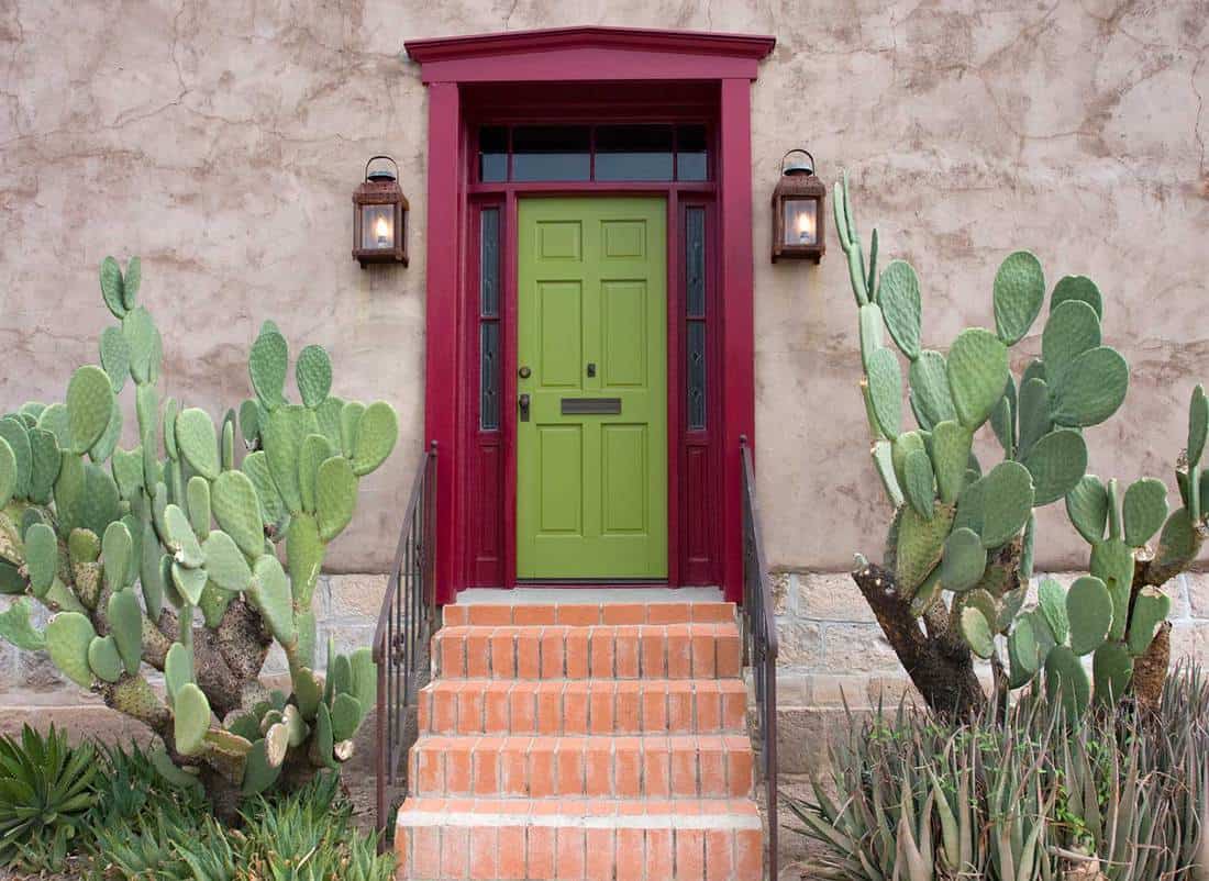 House entrance with green door