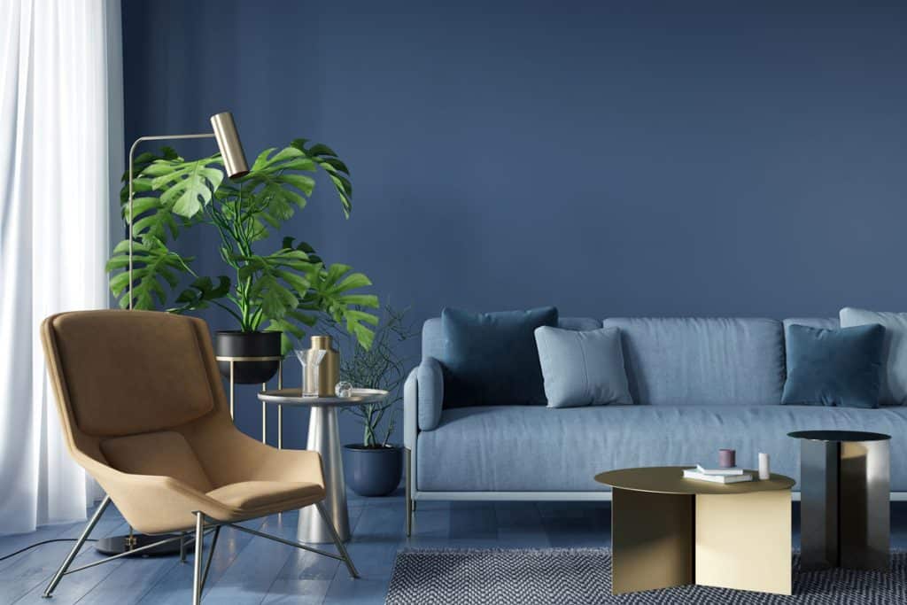 Interior of a blue walled living room with matching blue sofa, plants and other gold colored furnitures