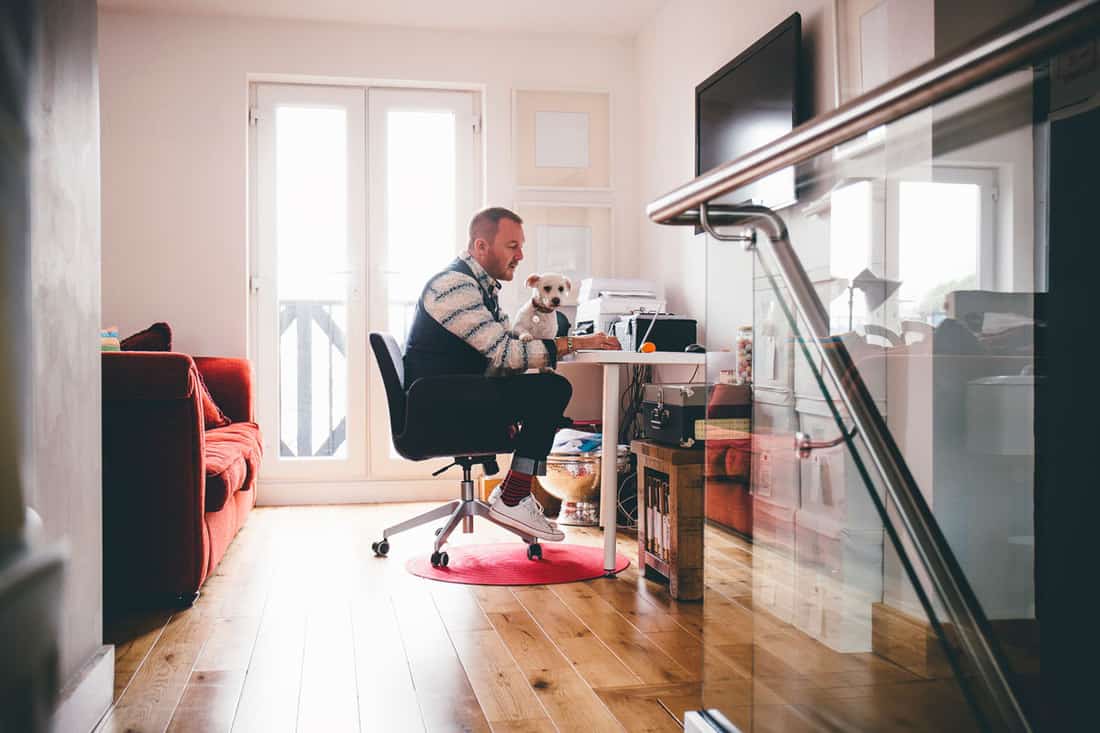 Homme mûr travaillant à domicile dans son studio avec son chien assis sur ses genoux.