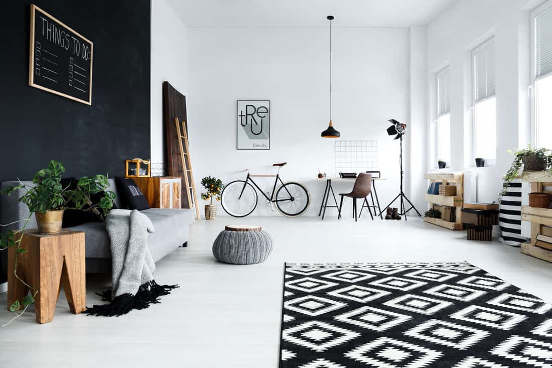 Multifunctionele, zwart-witte kamer met bank, planten, bureau, stoel
