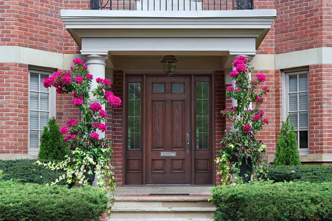 House with elegant entrance with portico, flowers, and wooden door with sidelights