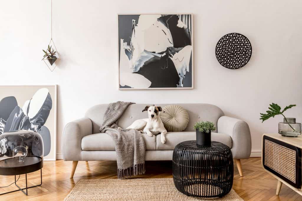 Salon avec un fond de mur blanc avec peinture et un chien assis sur un canapé, Quelle est la meilleure densité de mousse pour un canapé ?