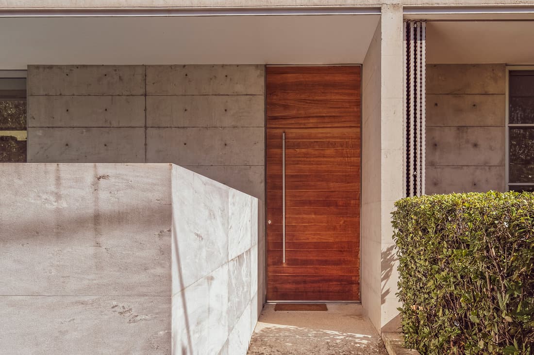 modern house concrete wall entrance and solid wood door, with green foliage plant by the corridor