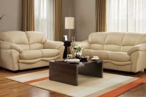 Read more about the article What Do You Put Between Sofa And Loveseat?