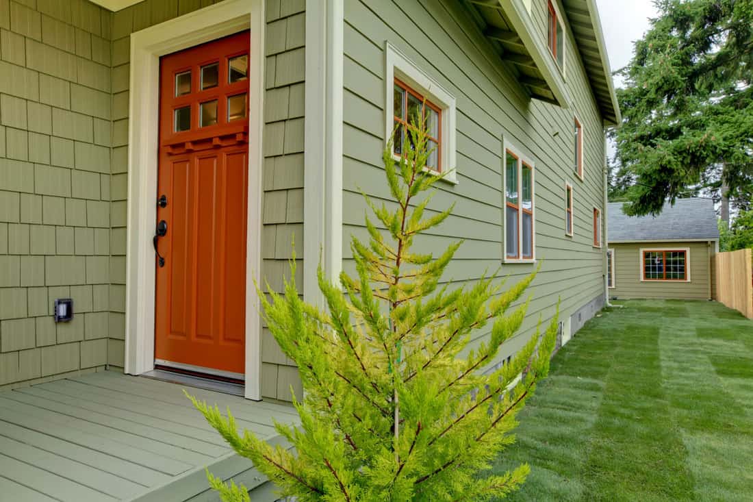 Best Front Door Color For A Green House [Color combos in pictures] - Home  Decor Bliss
