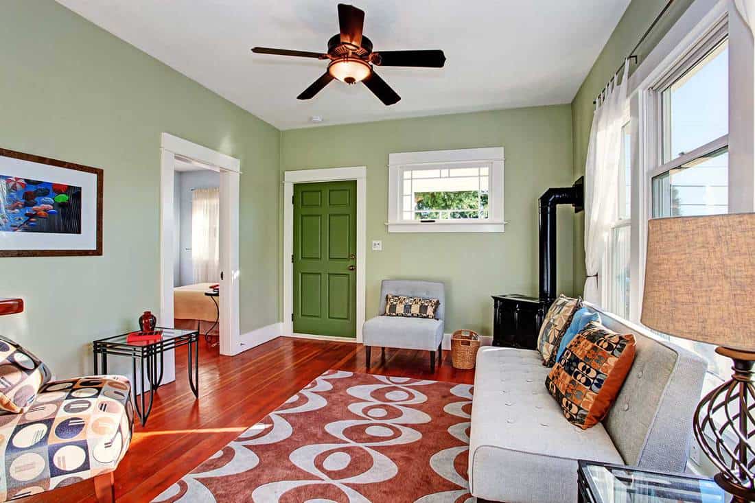 Modern home living room interior with green door, light green walls and hardwood floor