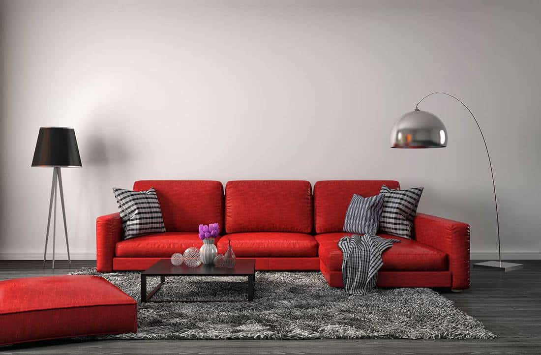 Modern living room interior with red sofa and grey shaggy rug