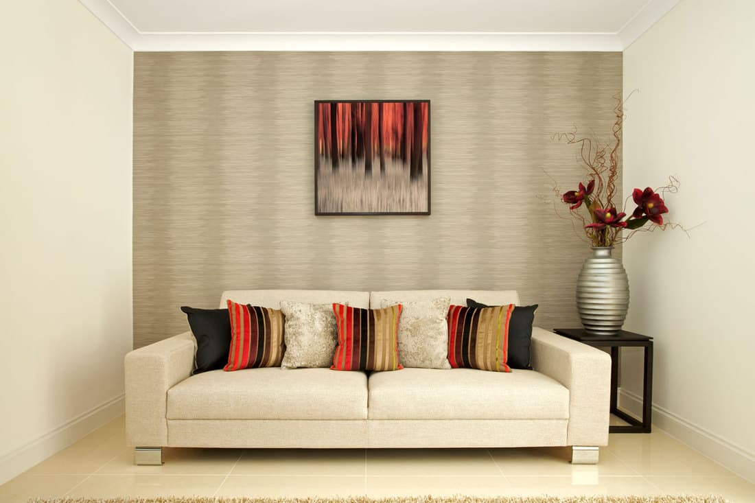 Narrow living room with light brown colored sofa on the middle and red flowers on beige striped vase on the side.