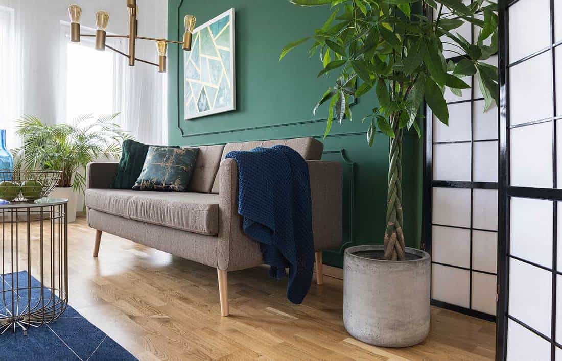 Plantes tropicales dans un salon moderne et élégant avec murs verts, peinture en mosaïque et rideaux blancs