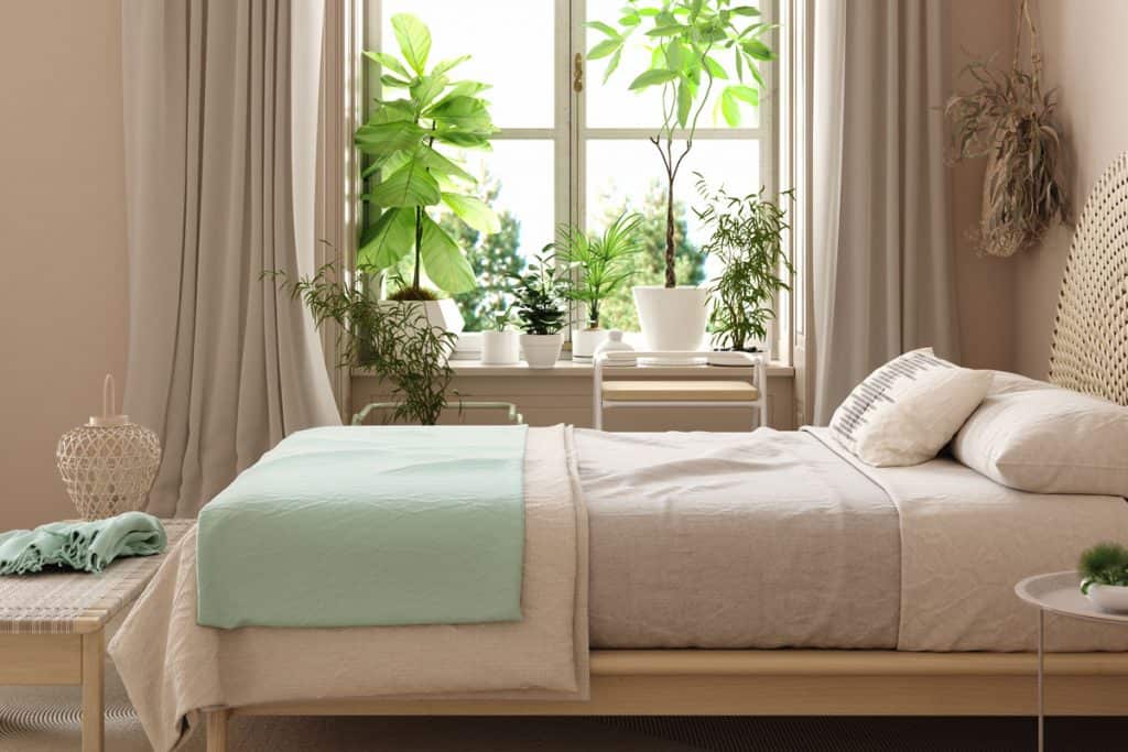 Un lit de rideau de couleur marron clair soigneusement disposé et des plantes placées sur les fenêtres