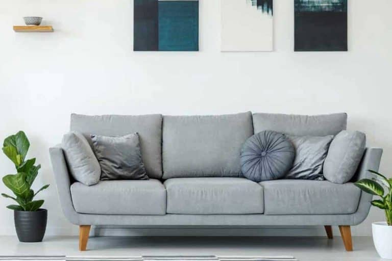Elegant living room interior with grey sofa plants and paintings on the wall, 34 Gray Couch Living Room Ideas [Inc. Photos]