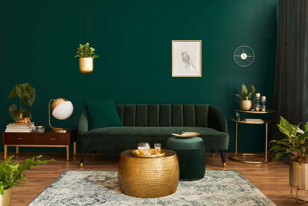 Green colored sofa with a green painted wall and laminated flooring