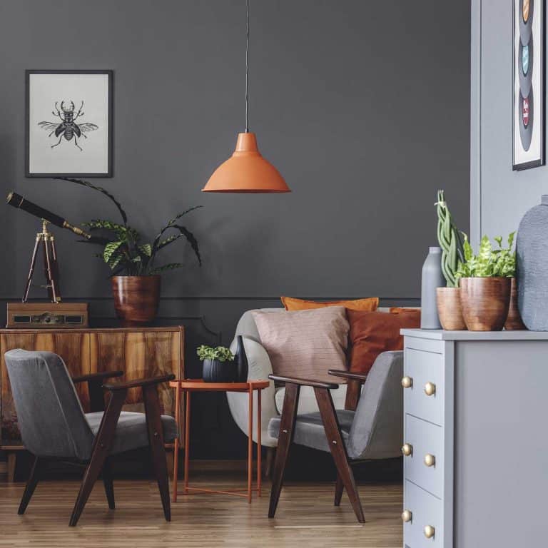 22 Charcoal (Dark Gray) Living Room Ideas [Inc. Design Tips]