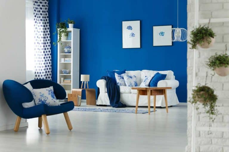 Trendy blue and white living room interior design, How to Decorate a Room With Blue Walls [5 Actionable Suggestions]