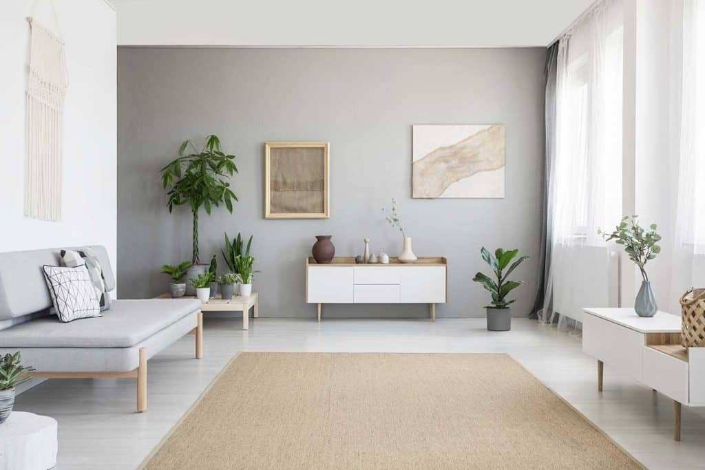 What Color Carpet Goes With Gray Walls 5 Suggestions Pictures Home Decor Bliss - Can You Have Gray Walls With Beige Carpet