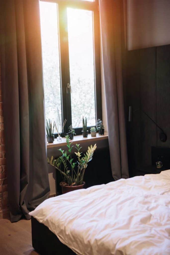 bedroom with window and potted plants